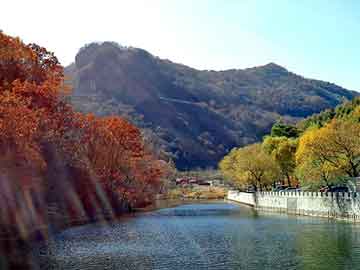 澳门期期准免费精准，食堂快餐桌